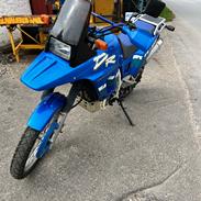 Suzuki Dr 800 s Big