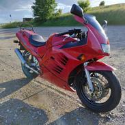 Suzuki RF600R