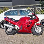 Suzuki RF900R