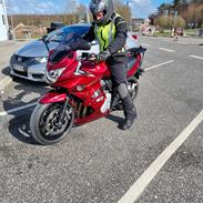 Suzuki Gsf 1250 S Bandit