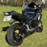 Suzuki GSXR 750 K7 - SOLGT 