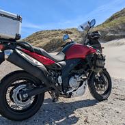 Suzuki DL 650 V-strom