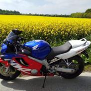 Honda CBR600 F4 Ultima Light