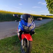 Honda CBR600 F4 Ultima Light