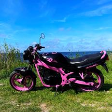 Suzuki Gs500e