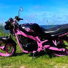 Suzuki Gs500e