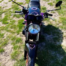Suzuki Gs500e