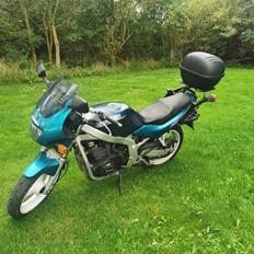 Suzuki GS500E