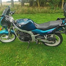 Suzuki GS500E