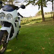 Suzuki GSXR250