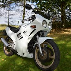 Suzuki GSXR250