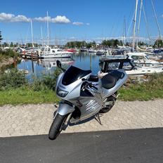 Suzuki RF 600R