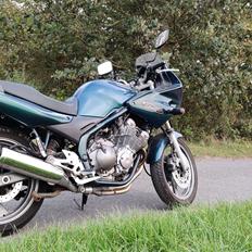 Yamaha XJ600 Diversion