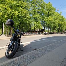 Suzuki Intruder m800