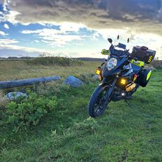 Suzuki DL1000 AL9 2020 DL 1000 Udseende fra Forhandler