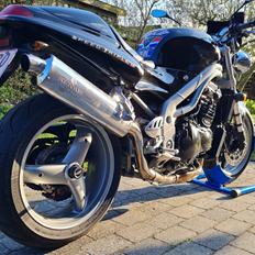 Triumph Speed Triple 955i