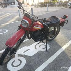 Suzuki TS185
