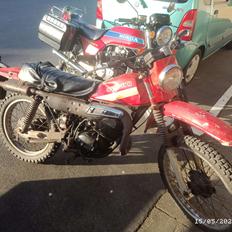 Suzuki TS185