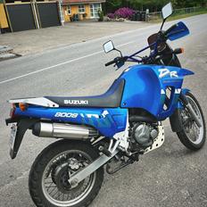 Suzuki Dr 800 s Big