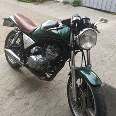 Yamaha SRX600