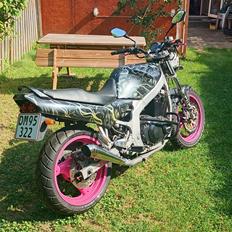 Suzuki gs500e