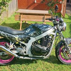 Suzuki gs500e
