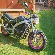Suzuki gs500e