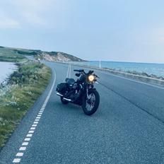 Harley Davidson XL1200N Nightster