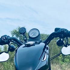 Harley Davidson XL1200N Nightster