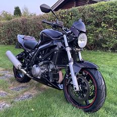 Suzuki SV1000N