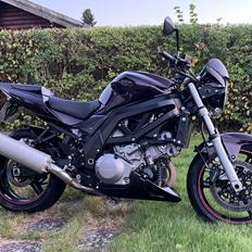 Suzuki SV1000N