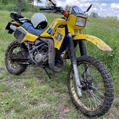 Suzuki TS 250 X