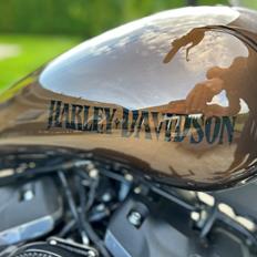 Harley Davidson Street Bob FXBB 
