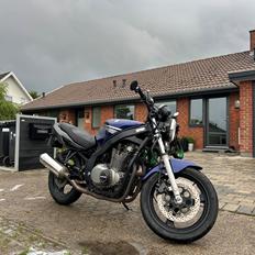 Suzuki GS500