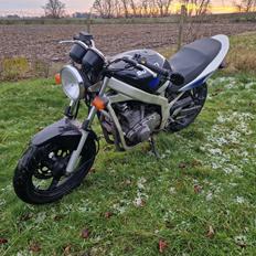 Suzuki GS500E