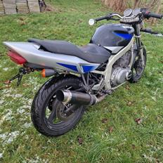 Suzuki GS500E