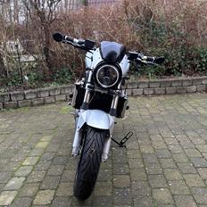 Suzuki SV 1000N