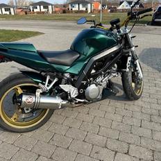 Suzuki SV 1000