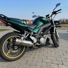 Suzuki SV 1000