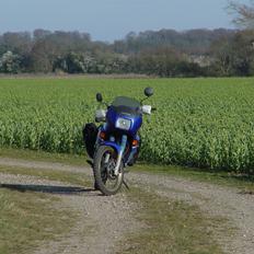 Honda XL600V Transalp