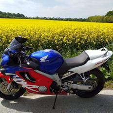 Honda CBR600 F4 Ultima Light