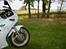 Suzuki GSXR250