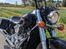 Honda VT 750 ACE