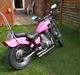 Yamaha xv250 (Pinkie) Build By Nemesis's Custom Garage