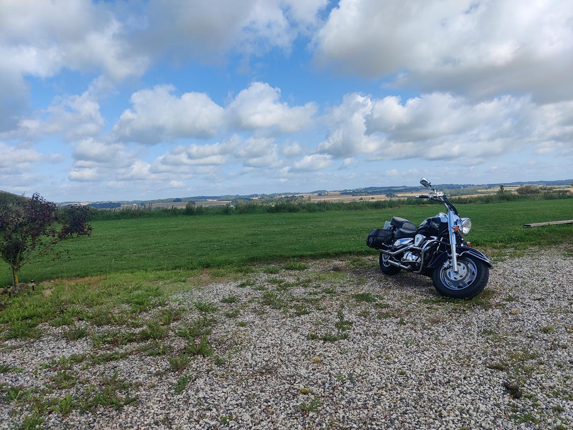 Suzuki VL 1500 Intruder LC billede 10