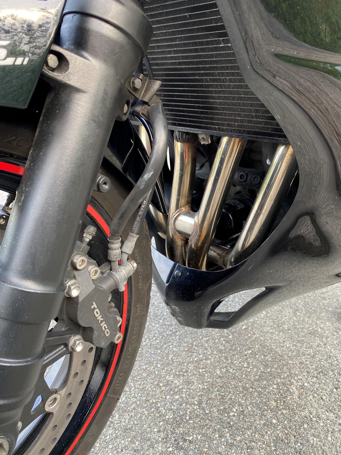 Suzuki GSF 1250 s Abs Bandit  billede 6