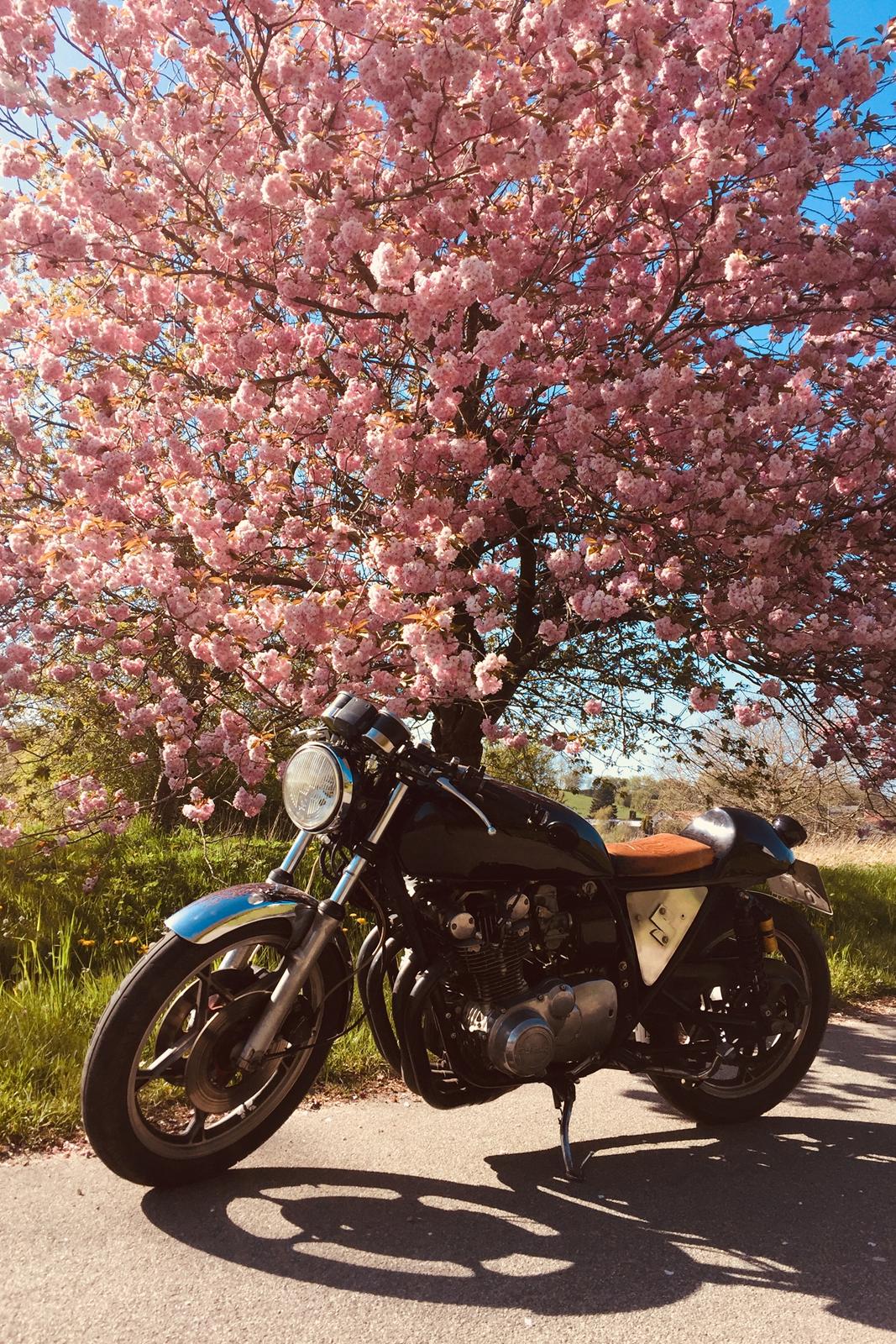 Suzuki GS 750 E billede 5