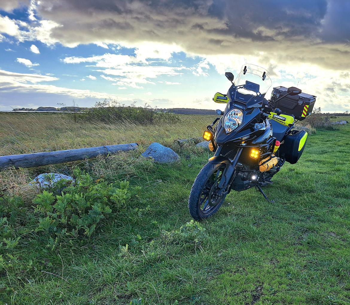 Suzuki DL1000 AL9 2020 DL 1000 Udseende fra Forhandler billede 1