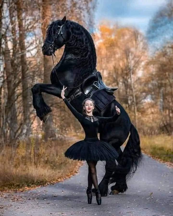 Suzuki DL1000 AL9 2020 DL 1000 Udseende fra Forhandler - Sjovt nok fik min cykel hurtigt et navn. "Stallion" billede 4