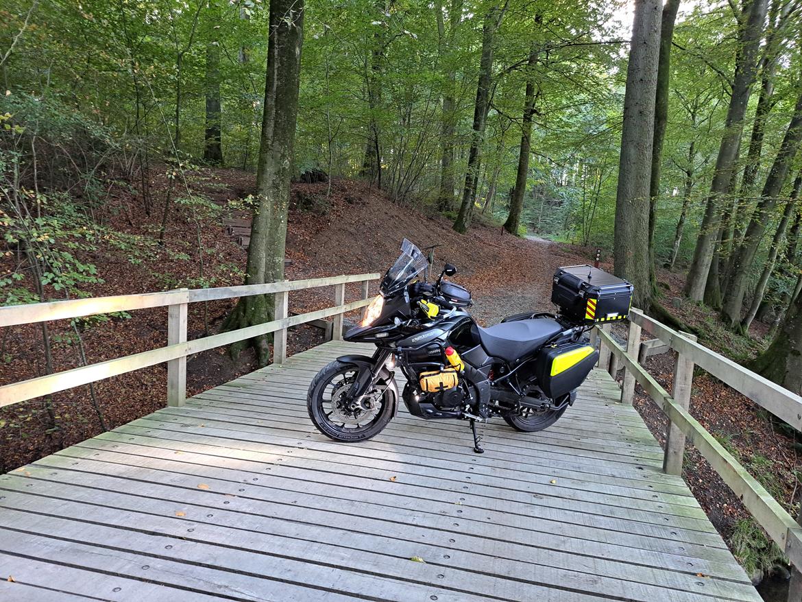 Suzuki DL1000 AL9 2020 DL 1000 Udseende fra Forhandler billede 25